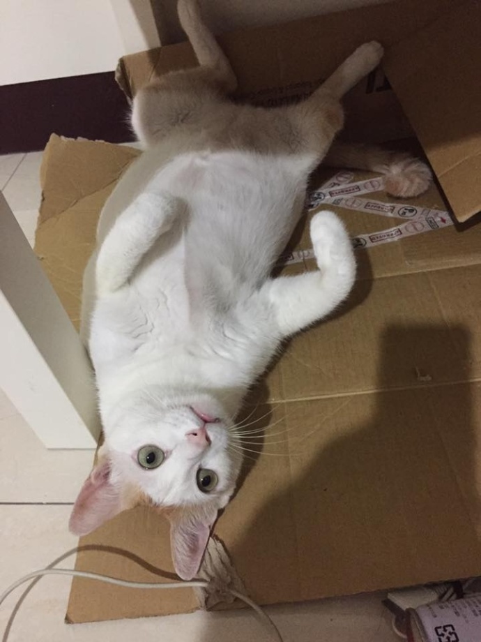 这个村一条秋裤卖全国闯出振兴路,厉害这个村凭一条虾走上了致富路