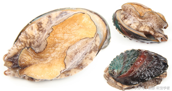 娴锋磱閲岀殑鍚勭缇庡懗铻冭煿,灏忕簿鐏靛悆铻冭煿