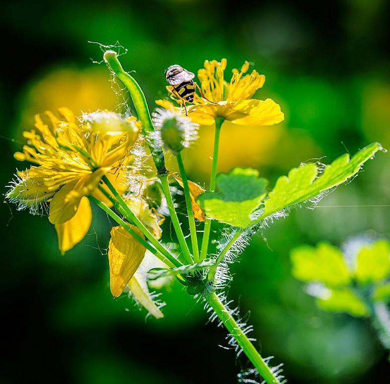 管锥编是钱钟书的著作吗,钱钟书的管锥篇讲了什么