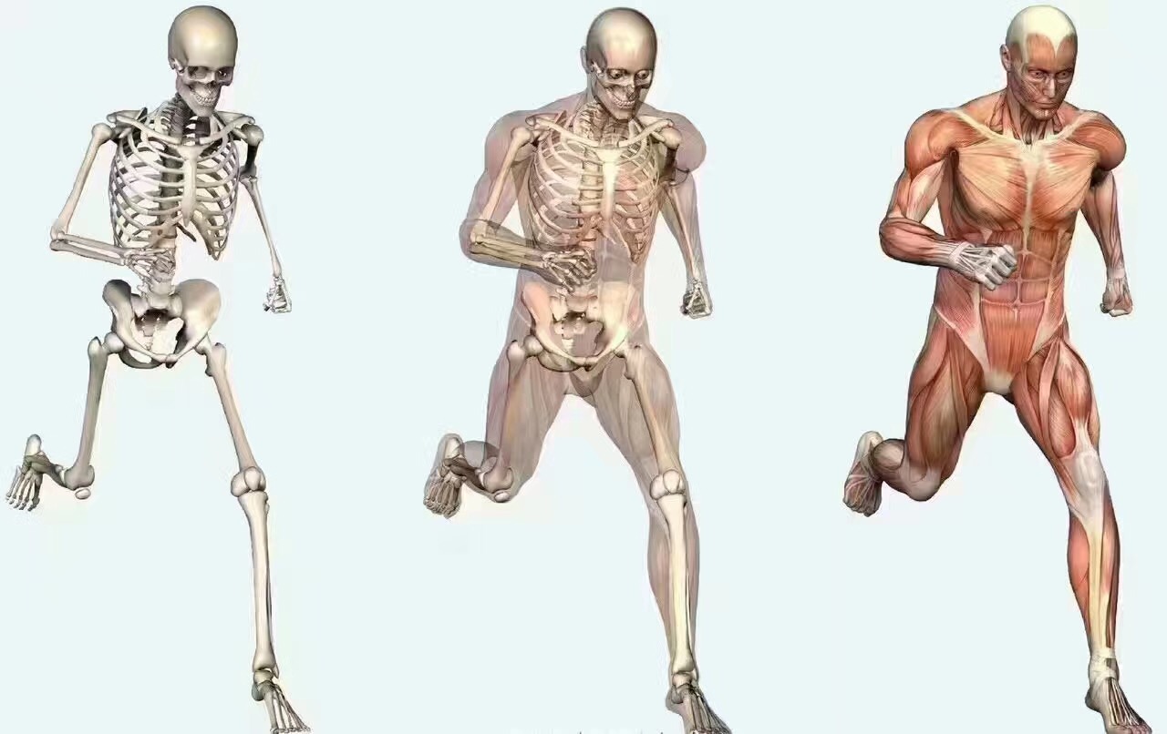 老兵训练任务全集,老兵训练受伤