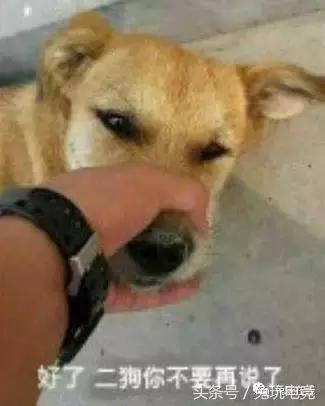 lol账号被封怎么解封,lol被封账号