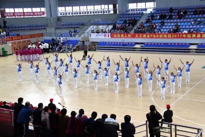 阜阳临泉比赛,临泉县锦标赛