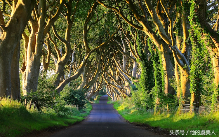 权力的游戏是否在新西兰取景,权力的游戏拍摄地点成为旅游景点