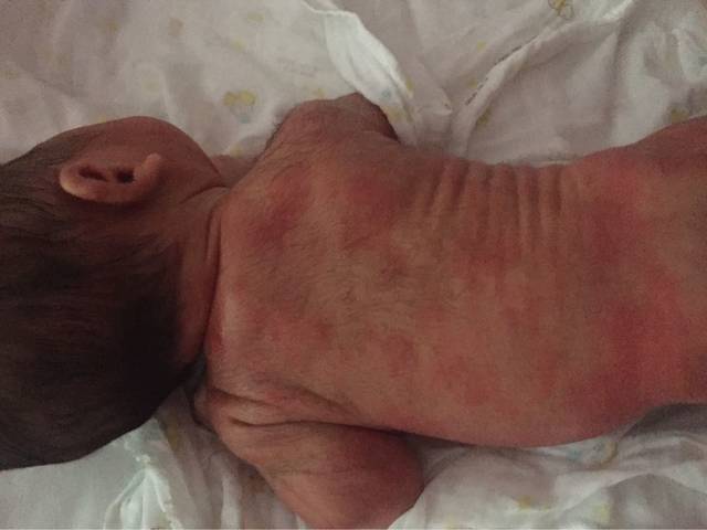 新手宝妈必入的育儿宝典,新生儿宝宝育儿宝典