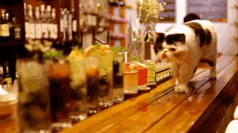 贵阳喷水池鸡尾酒吧推荐,贵阳鸡尾酒吧攻略