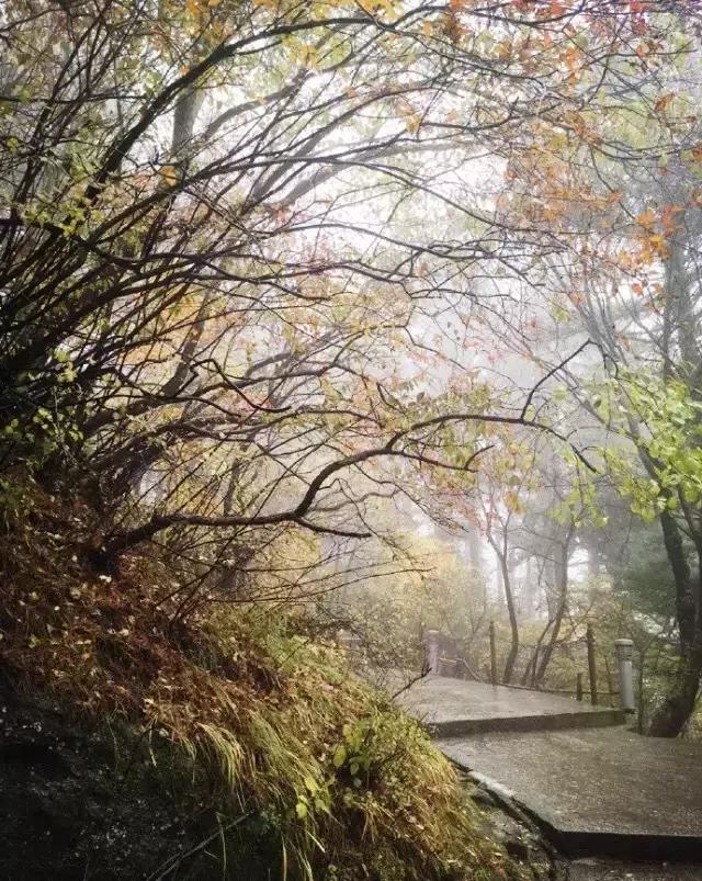 徐霞客来华山游记是哪一年,徐霞客对华山的评价