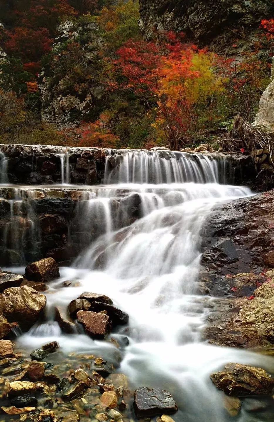 新鲜出炉~赏枫HOT！百名摄影家齐聚庄河天门山