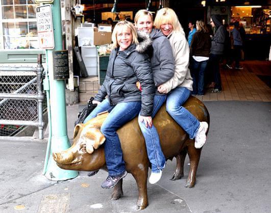 世界上最贵的猪身价竟达到100多万,养100年最贵的猪