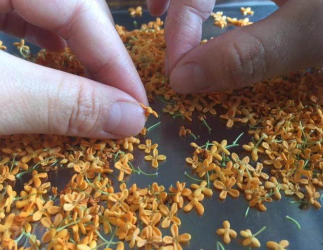 郁金香diy手工,桂花梅花香怎么制作