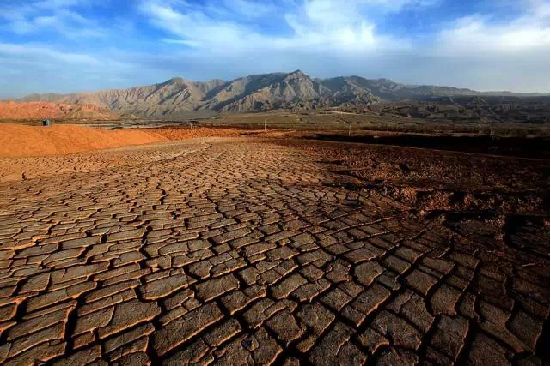 vc可以调节土壤酸碱吗,调节土壤酸碱平衡的最佳方法