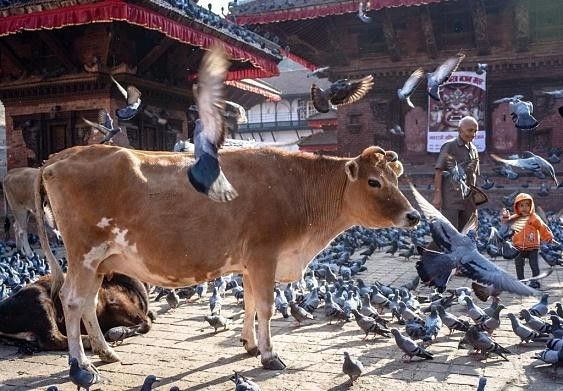 法国火车站台接吻，在伊朗议论婴儿的眼睛，旅行禁忌你可能都会犯