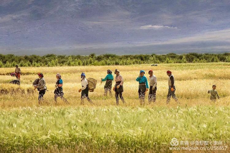 只要能去*藏西**,头痛高反什么的都不care