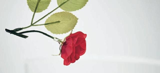 他用塑料做的玫瑰价值百万，各大艺术博物馆争相收藏