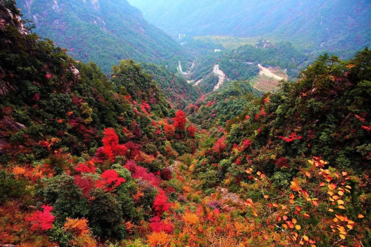 新鲜出炉~赏枫HOT！百名摄影家齐聚庄河天门山