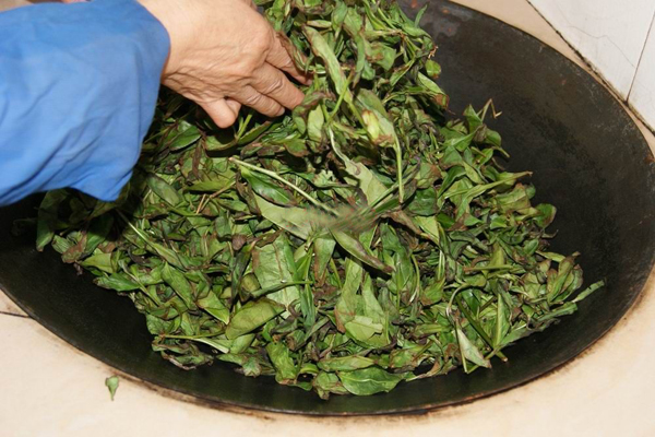 茶中所蕴含金木水火土,茶金木水火土