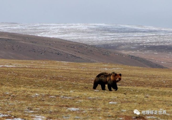 藏北高原无人区攻略,藏北无人区风景美如画