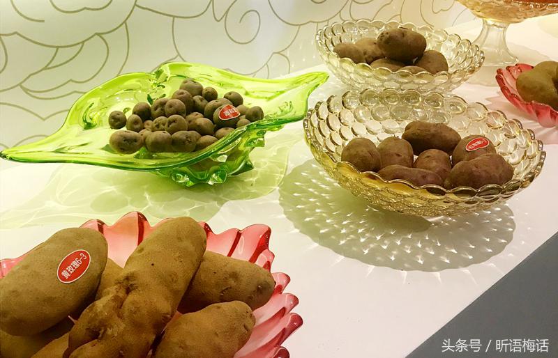 现代农业看杨凌,杨凌国家农业高新技术产业示范区