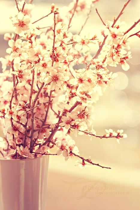 喜欢处女男的星座女,怎么才能让处女座女生重新爱上你