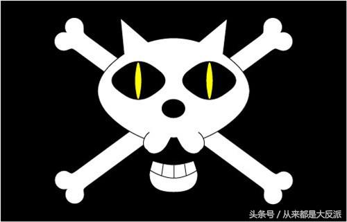 海贼王里一共出现过多少人物(四)(超新星等)