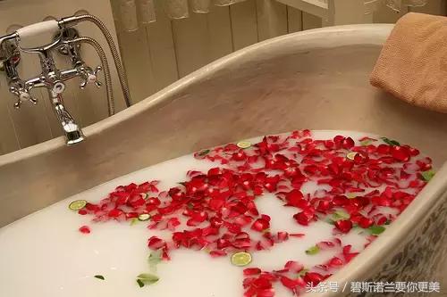 碧斯诺兰护肤知识,碧斯兰护肤技巧