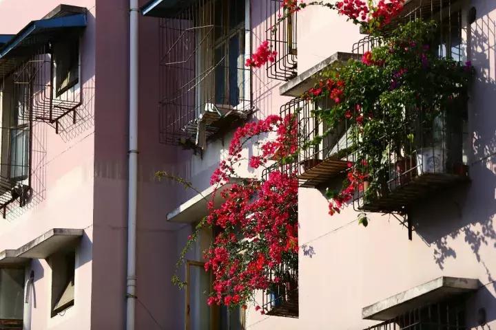 犀浦街道丨打造15分钟公共服务圈让居民生活更有品质