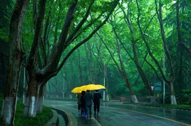 南京骑行最美路线浦口老山,南京十大最美骑行路