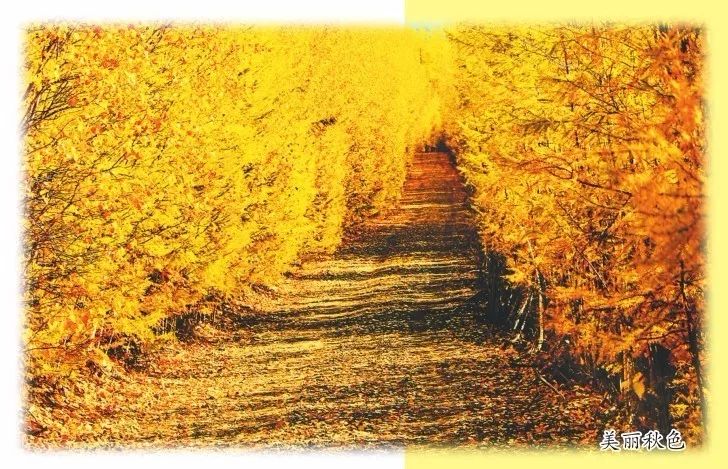 对不起我要去学校了模板,对不起我要去天津了