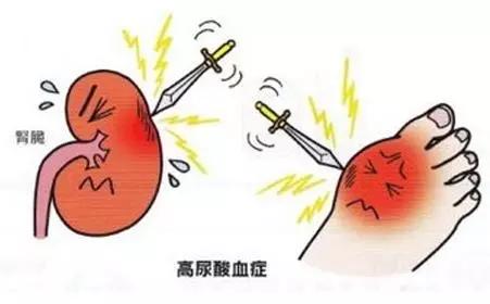 肾病的最新药物,治疗慢性肾病药物有哪些