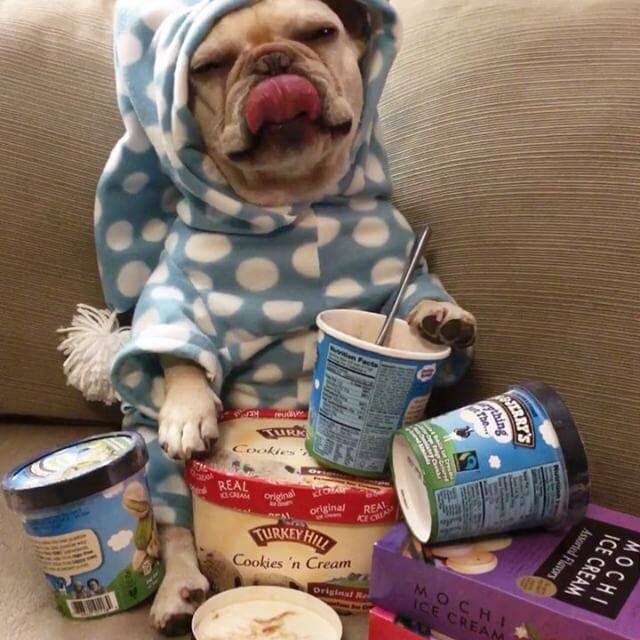 法国斗牛犬怎么护理皮肤,法国斗牛犬冬天要穿衣服吗