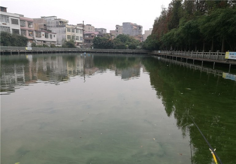 最后几天在玉林，别人掐鱼我练杆