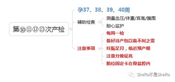 孕妈必备,产检时间表检查内容
