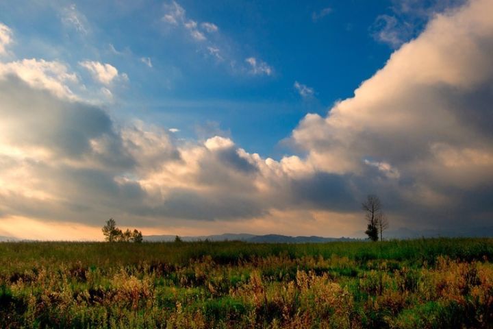 北方已经初冬了，贵州的这些地方秋意正浓，现在去正当时！