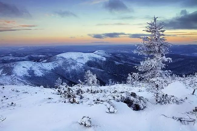 对不起我要去学校了模板,对不起我要去天津了