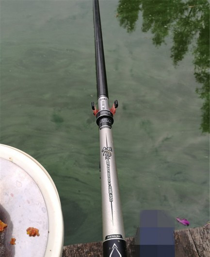 最后几天在玉林，别人掐鱼我练杆