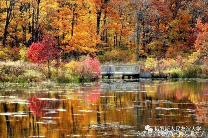 俄罗斯的秋天视频,俄罗斯的深秋美景