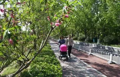 幸福像在花园一样，西城的城市客厅，邀请您常来走走停停