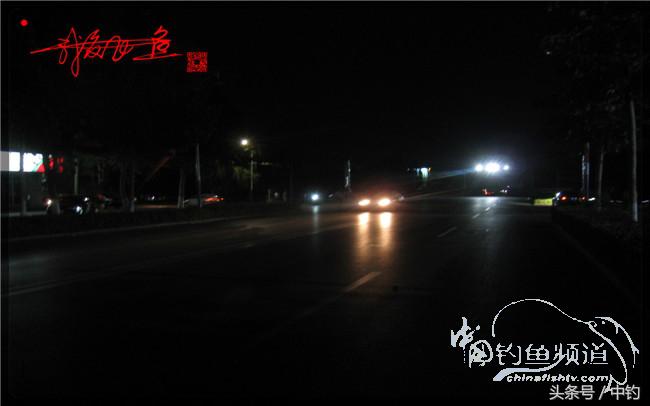 狂拉大板鲫的快乐,狂拉小鲫鱼钓鱼视频