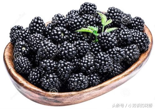 每天必吃十种水果,夏季必备5种健康水果