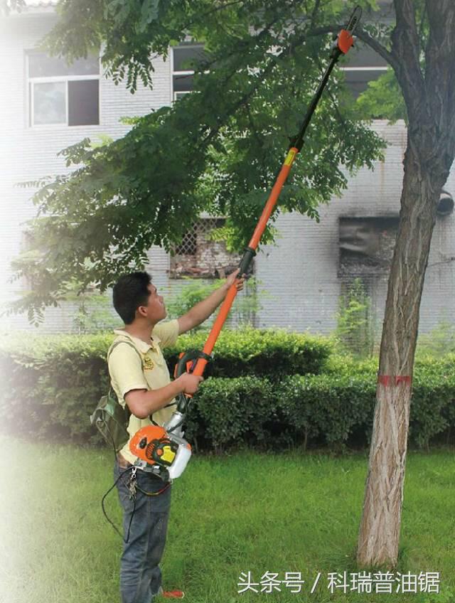 绿篱机使用方法,绿篱机使用安全和防护措施