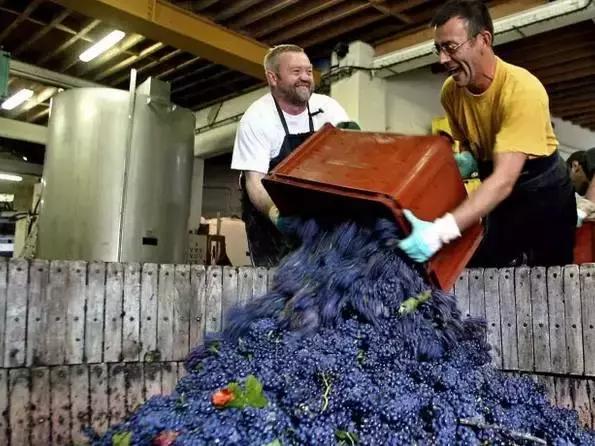 香槟为什么那么贵,香槟有多贵