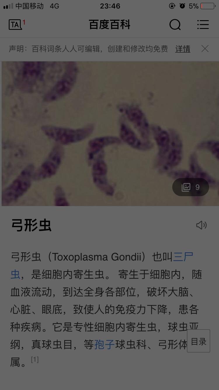 孩子非要养宠物怎么办,孩子要养兔子