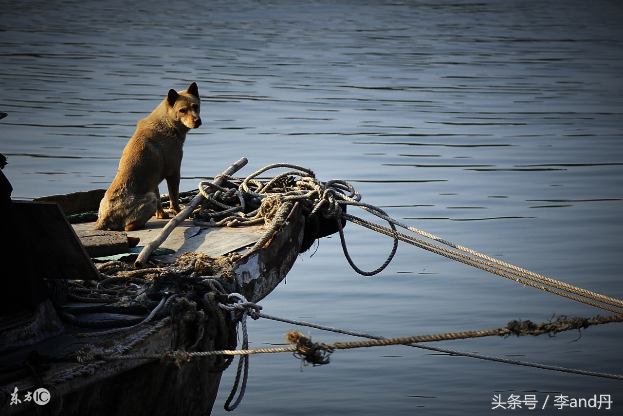 戒掉网赌重新开始,戒掉网瘾重新开始