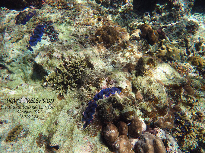 阳光，假日，海滩，带你深度游巴拉望上