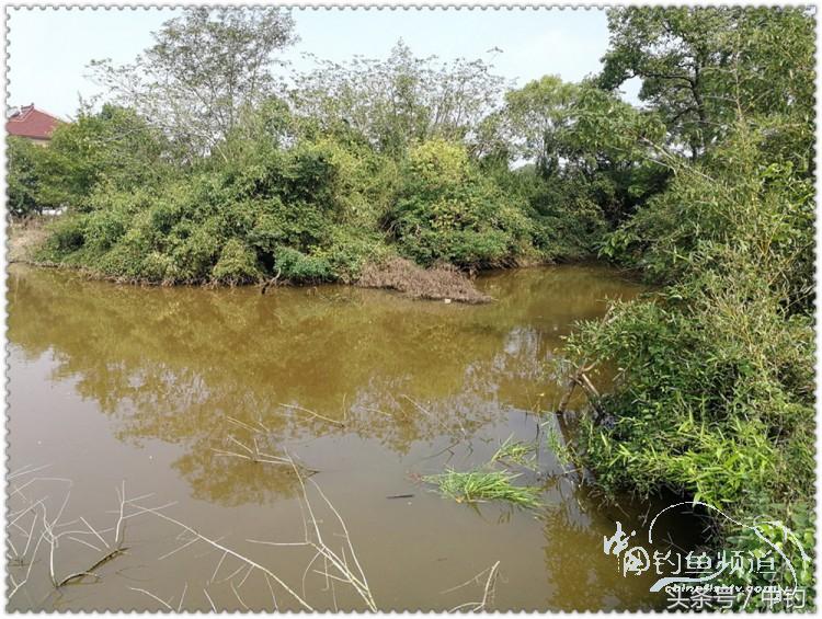 国庆节的来历,国庆头像