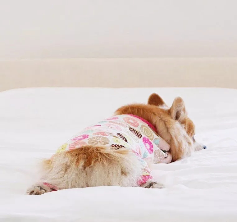 短腿美图,高清小短腿美图