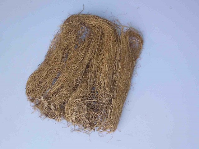 细辛里含有什么有毒物质,细辛的副作用和毒性有哪些