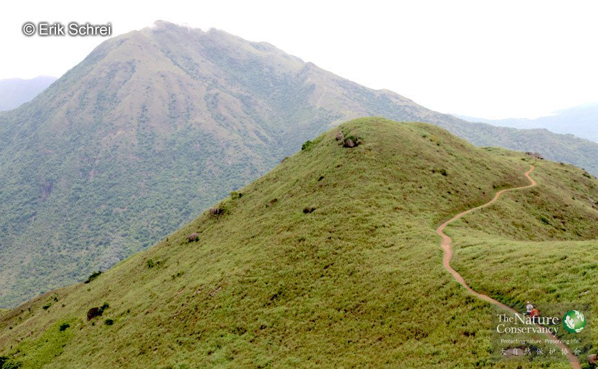 在大自然中自由奔跑,在自然奔跑