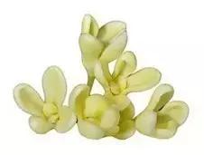 桂子飘零，天凉好个秋