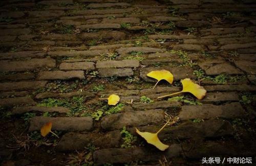 秋天的思念琪琪格,秋天的思念