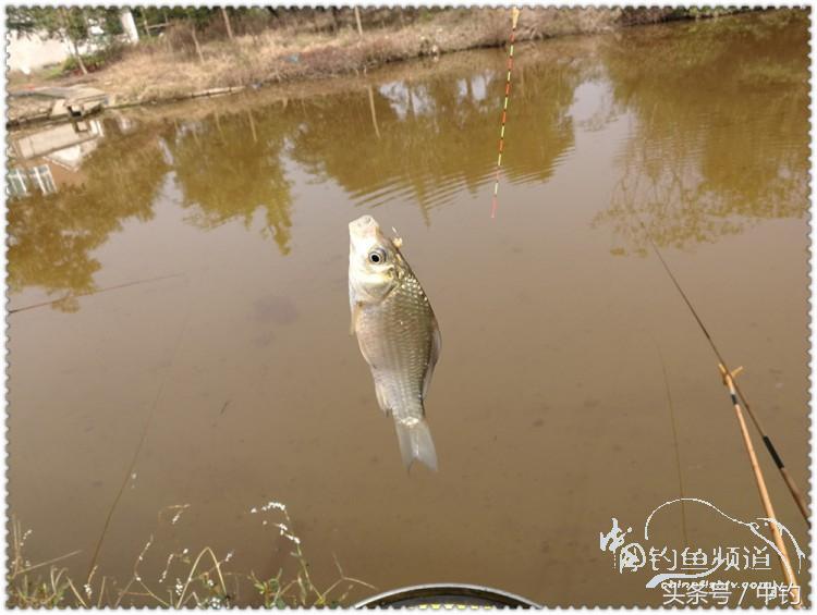 国庆节的来历,国庆头像